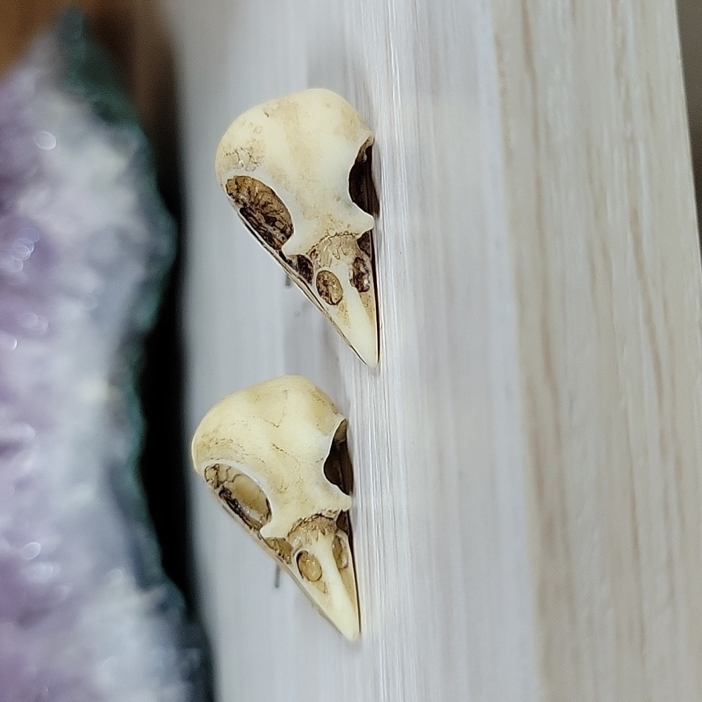 Realistic Bird Skull Stud Earrings - Picture 4 of 7